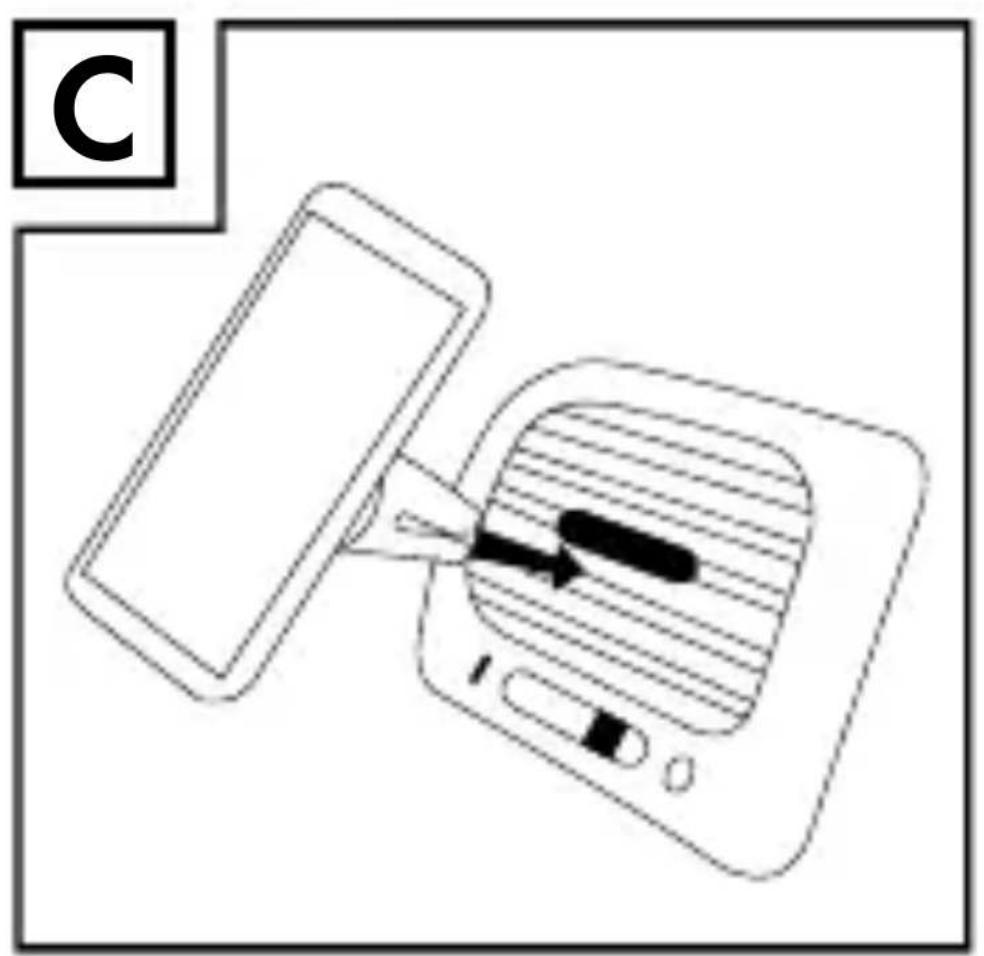 C