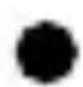 ULTIMATE SPEED IAN 311639 - Smaltimento - 1