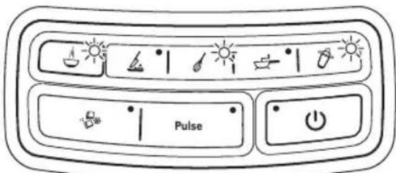 Pulse