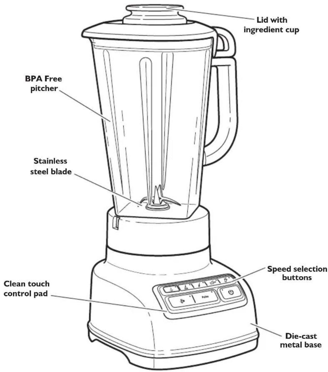 Lid with ingredient cup BPA Free pitcher Stainless steel blade Clean touch control pad Speed selection buttons Die-cast metal base