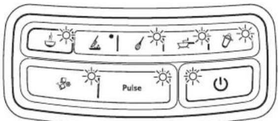 Pulse