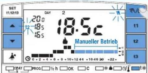 Perry DECRNN032 - B) Permanenter manueller Betriebsmodus. - 1