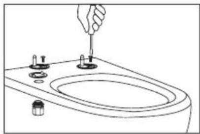 Wellis Ditte - INSTALLATION - 2