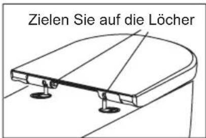 Wellis Ditte - INSTALLATION - 3