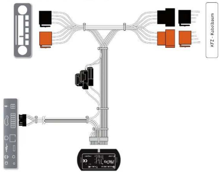 EGO FLASH - Anschlusskonzept des EGO Mute Kabel - 2