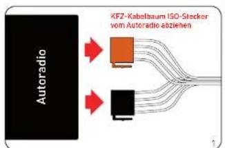 EGO FLASH - Installation des ISO-Anschlusskabels - 1