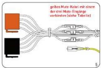 EGO FLASH - Installation des ISO-Anschlusskabels - 5