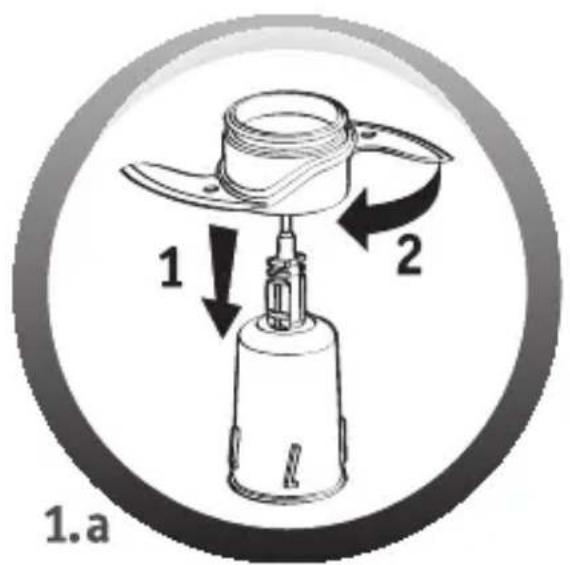 1 2 1.a