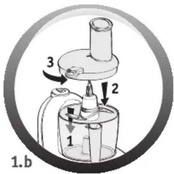 1.b 1 2 3