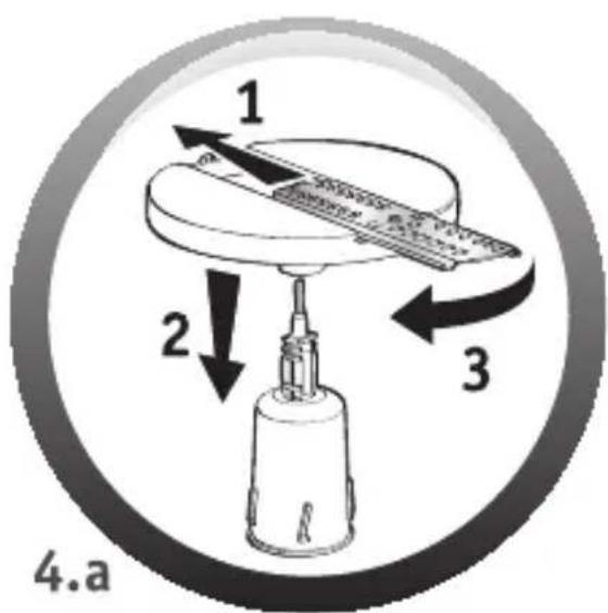 1 2 3 4.a