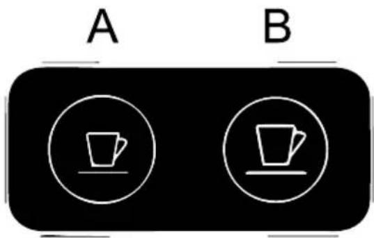 A B