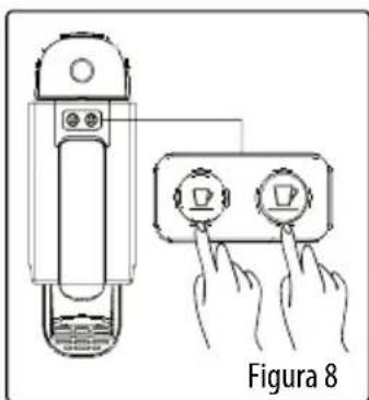 Figura 8