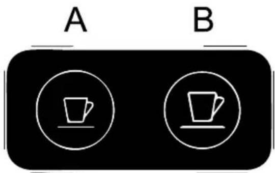 A B