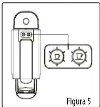 Figura 5