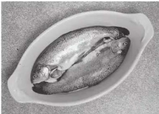 PANASONIC NN-CT54JW - Fish - 1