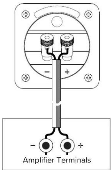 ELAC Muro OW-V41S - Speakers Connection - 2