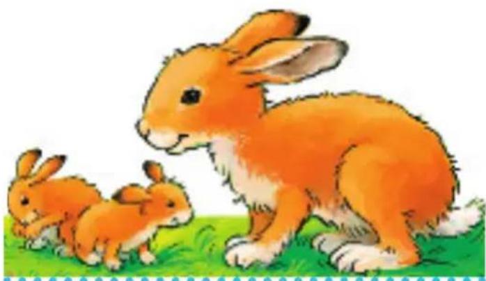RAVENSBURGER Hase Hüpf - Los geht's - 1