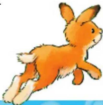 RAVENSBURGER Hase Hüpf - Ende des Spiels - 1