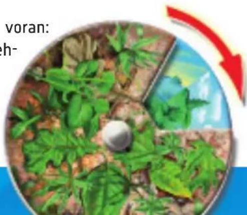 RAVENSBURGER Der Natur auf der Spur - Los geht's! - 2