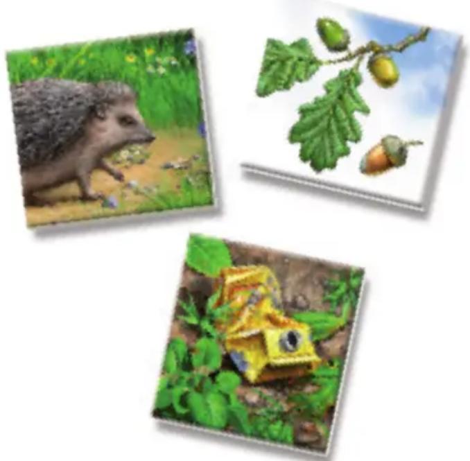 RAVENSBURGER Der Natur auf der Spur - Vorbereitung des Spiels - 1