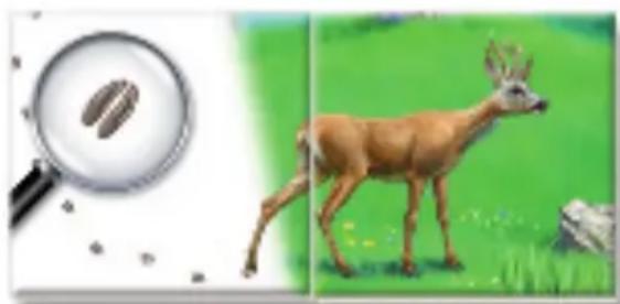 RAVENSBURGER Der Natur auf der Spur - Los geht's! - 1
