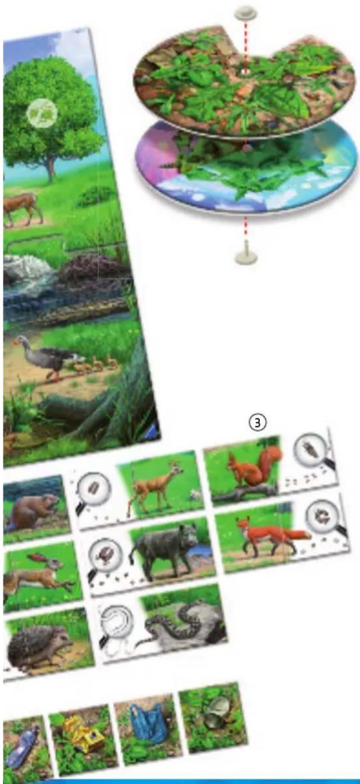 RAVENSBURGER Der Natur auf der Spur - Vor dem ersten Spiel - 1