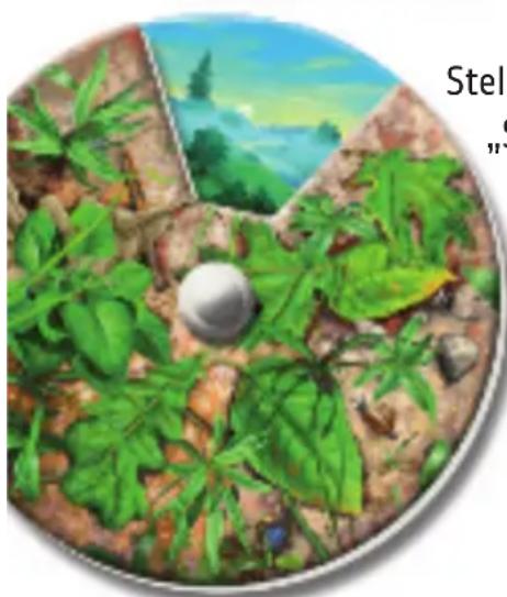 RAVENSBURGER Der Natur auf der Spur - Vorbereitung des Spiels - 2