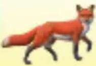 RAVENSBURGER Der Natur auf der Spur - Profi-Variante mit Baumkarten: - 13