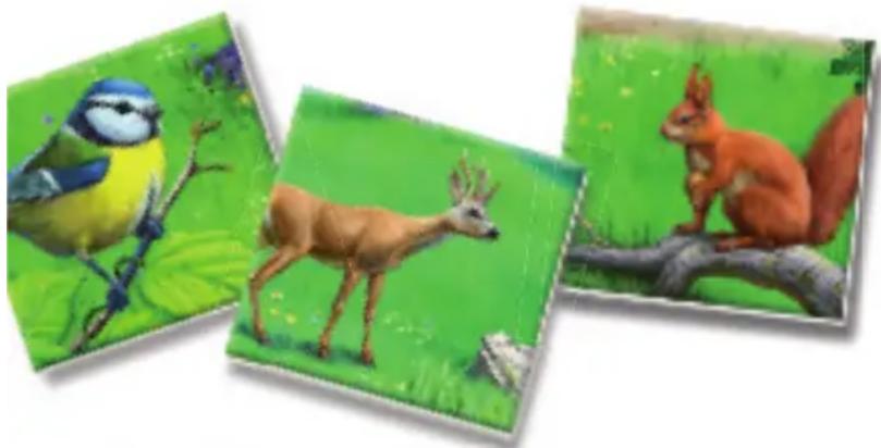 RAVENSBURGER Der Natur auf der Spur - Vorbereitung des Spiels - 1