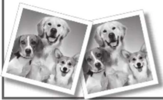RAVENSBURGER Doggs memory - Inhalt - 1