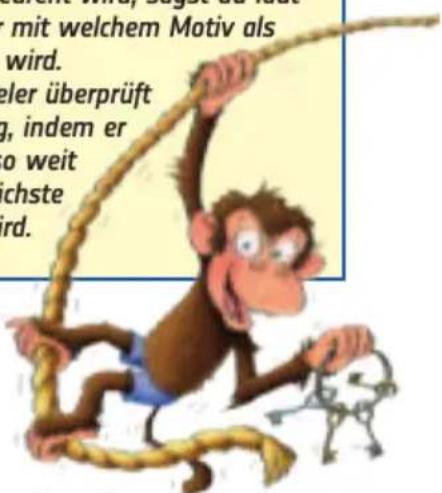 RAVENSBURGER Spielend Neues Lernen Der verdrehte Sprach-Zoo - Ende des Spiels - 2