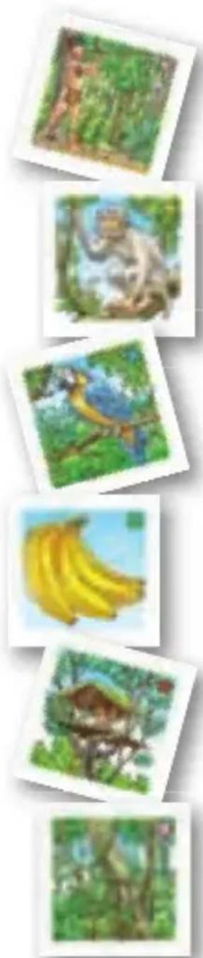 RAVENSBURGER Wieso? Weshalb? Warum? Unsere Welt - Tropischer Regenwald - 1