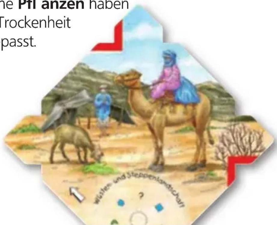 RAVENSBURGER Wieso? Weshalb? Warum? Unsere Welt - Wüsten- und Steppenlandschaft - 2
