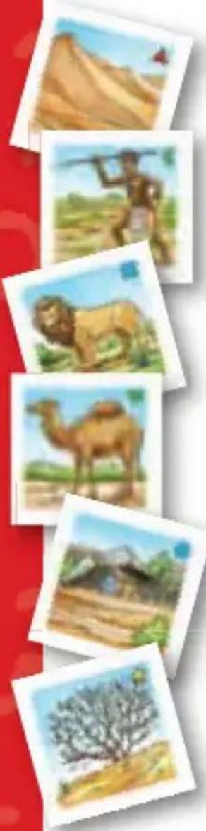 RAVENSBURGER Wieso? Weshalb? Warum? Unsere Welt - Wüsten- und Steppenlandschaft - 1