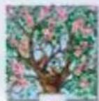 RAVENSBURGER Memory Die Entdecker - Inhalt - 1