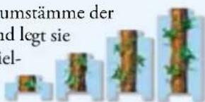 RAVENSBURGER Memory Die Entdecker - Spielziel - 3