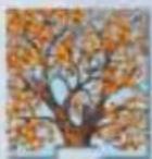 RAVENSBURGER Memory Die Entdecker - Inhalt - 5
