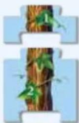 RAVENSBURGER Memory Die Entdecker - Baumstamm erhalten - 2