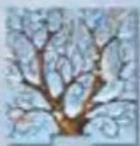 RAVENSBURGER Memory Die Entdecker - Inhalt - 7