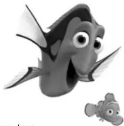 RAVENSBURGER Disney Finding Dory Mein magisches Wettlaufspiel - Wegteile vertauschen: - 2