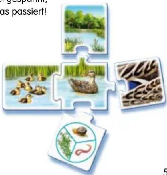 RAVENSBURGER Tiptoi Alle meine Tiere - Roter Stern - Tierpuzzle - 1