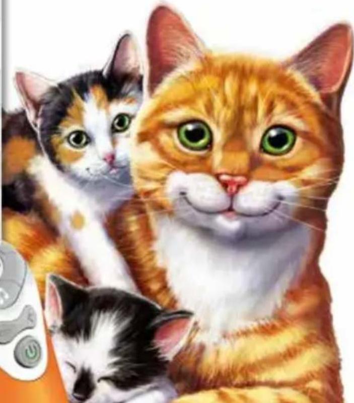 RAVENSBURGER Tiptoi Alle meine Tiere - Heimische Tiere entdecken, zuordnen und zählen - 1