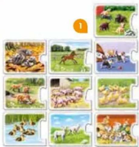 RAVENSBURGER Tiptoi Alle meine Tiere - Inhalt - 3