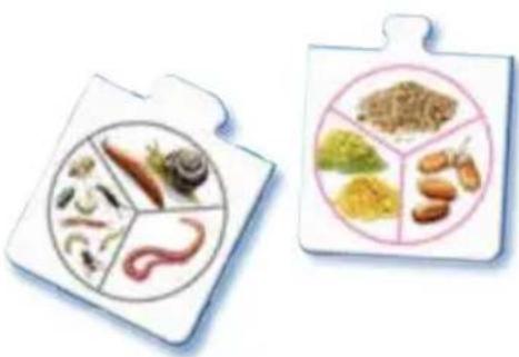 RAVENSBURGER Tiptoi Alle meine Tiere - Blauer Stern - Tier-Quiz - 1