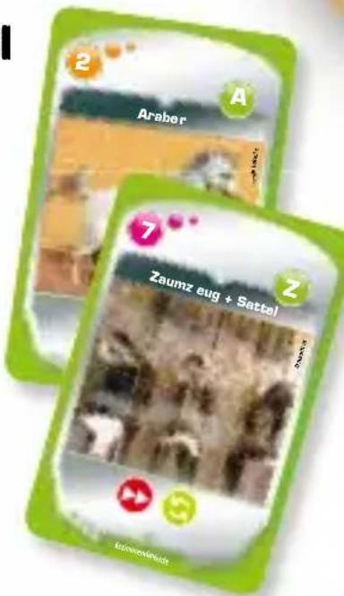 RAVENSBURGER Tiptoi Wissen & Quizzen Faszinierende Pferde - Das spannende Wissens-Quiz-Spiel für 1–6 Spieler von 6–10 Jahren - 1