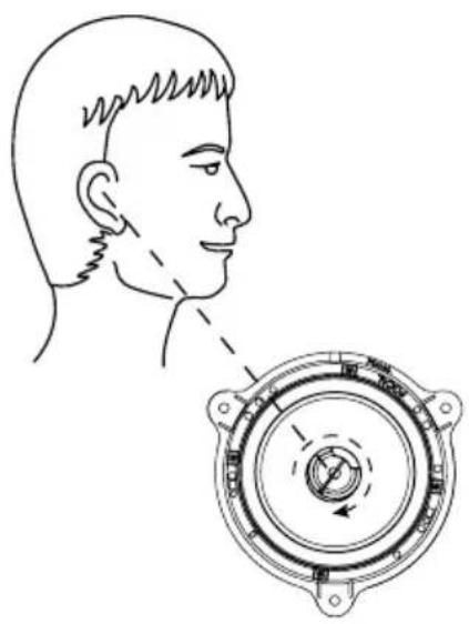 FOCAL IC RNS 165 - Manuel d'utilisation - 1