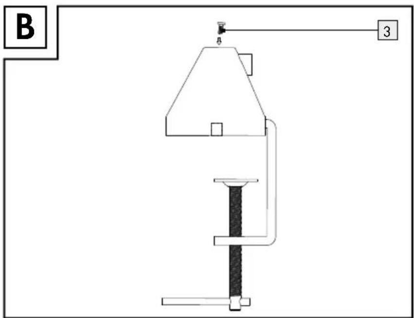 B 3
