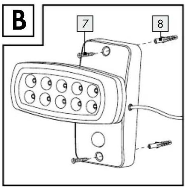 B 7 8