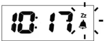 10:17 Zz