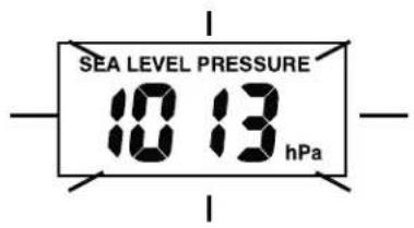 SEA LEVEL PRESSURE 10 13 hPa